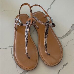 American Eagle Outfitters Tan Snake Print Sandals